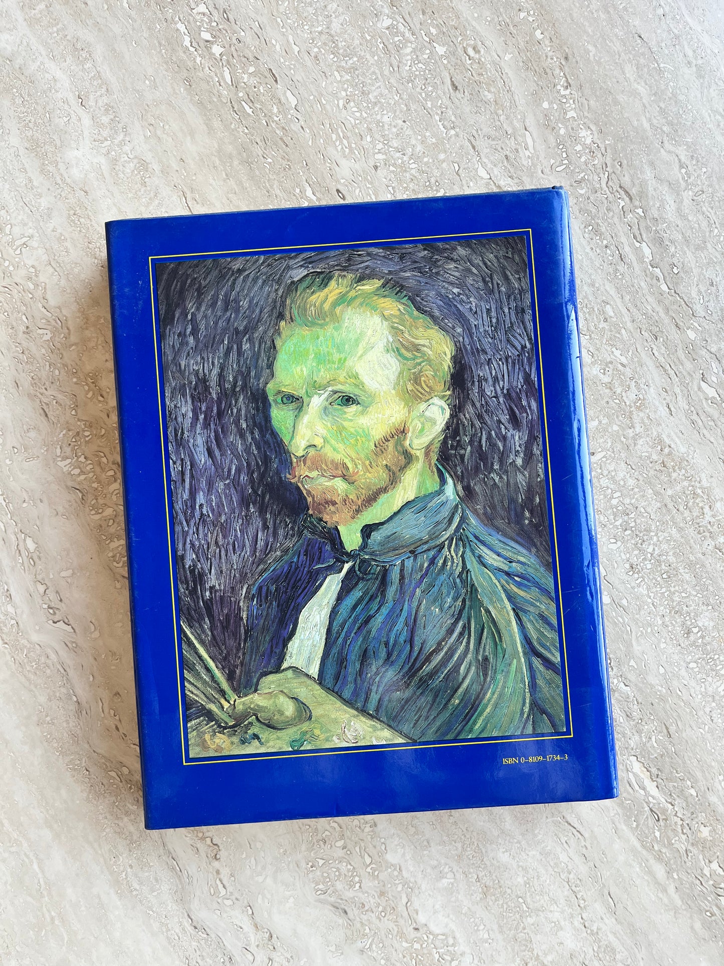 Van Gogh in Saint-Rémy and Auvers
